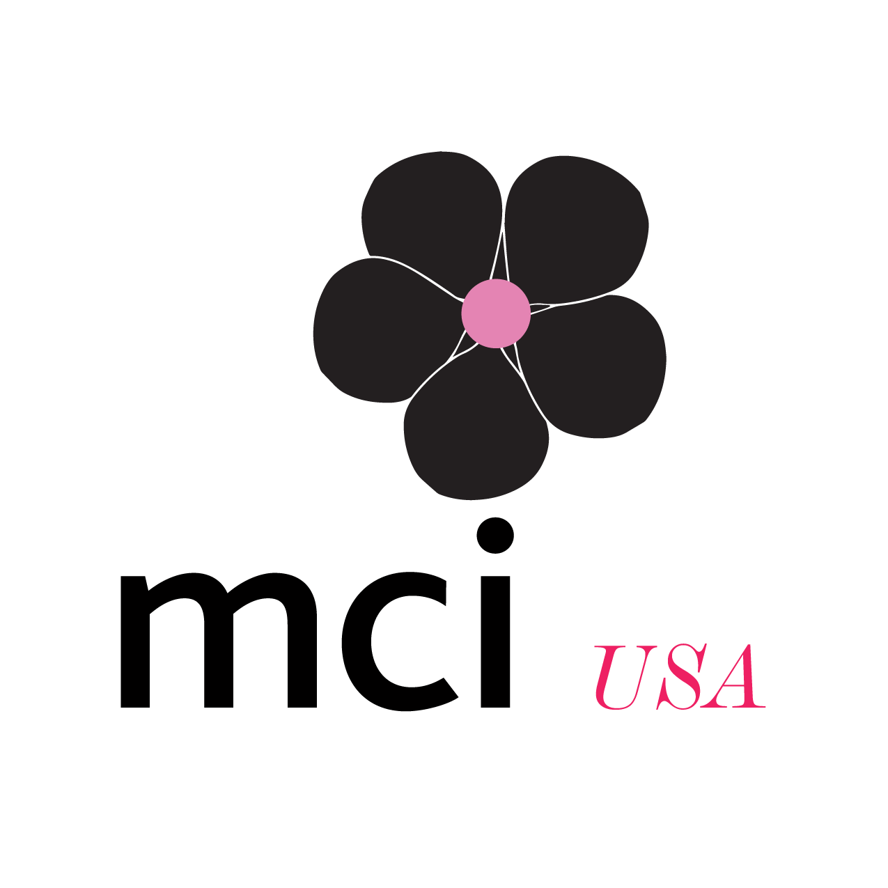 MCI-USA_Horizontal_Logo_purevector